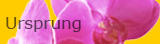Ursprung Thaimassage