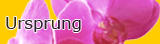 Ursprung der Thaimassage